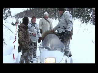 wolf hunt 2011